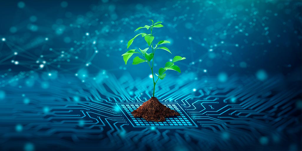 Pianta verde su rete digitale – rappresenta la fibra ottica sostenibile e la rete FTTH di Ascona4net ad Ascona